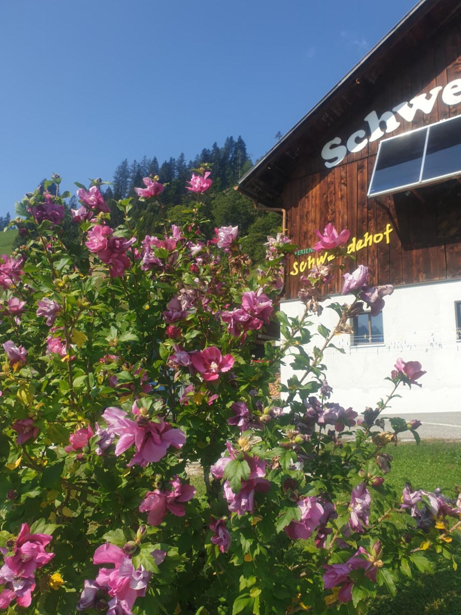 Ferienhaus Schwendehof フォンターネラ エクステリア 写真